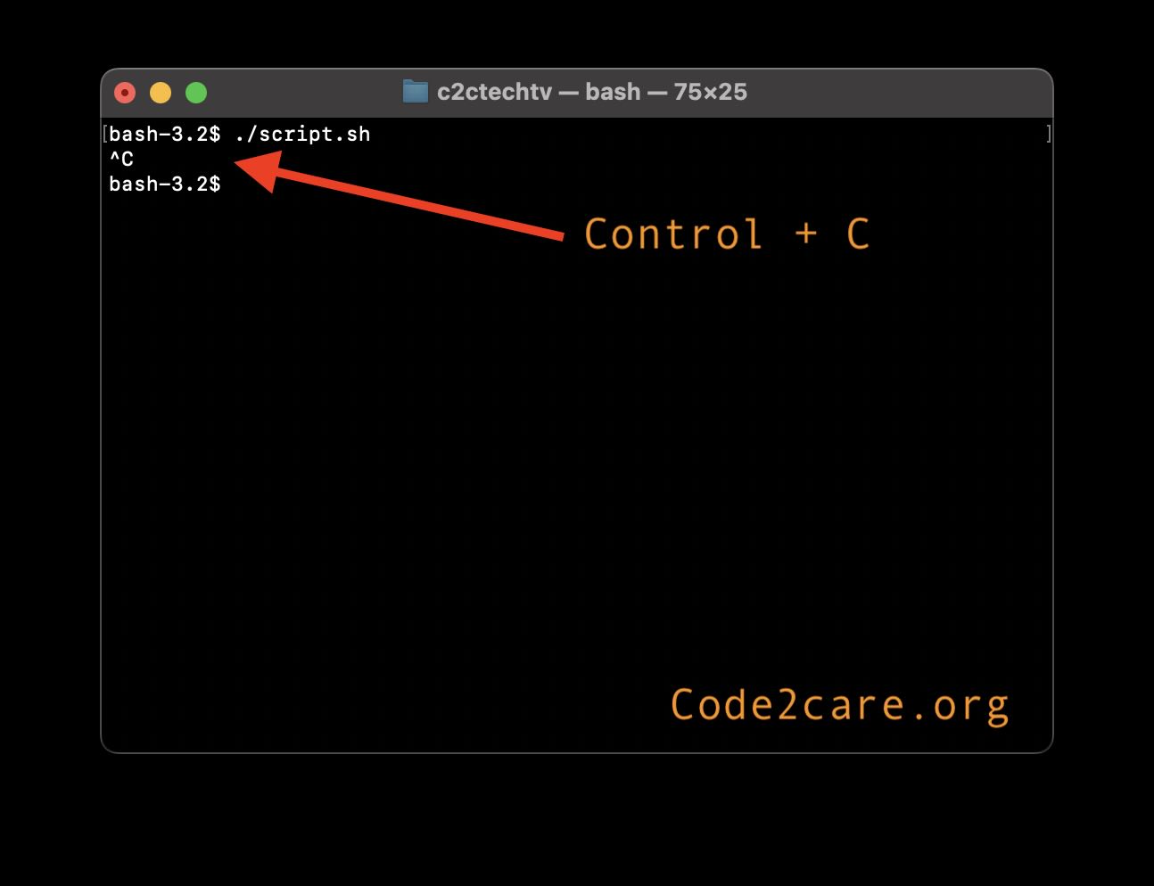 Exit a Bash Script using Control + C